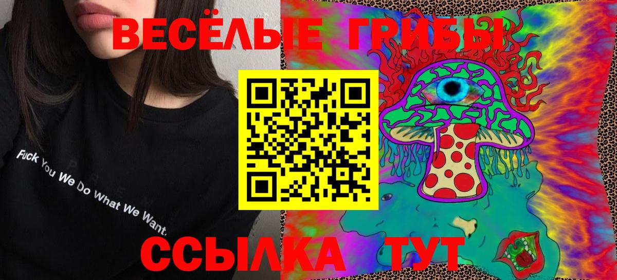 Галлюциногенные грибы MAGIC MUSHROOMS  Вход с VPN  Мыски 