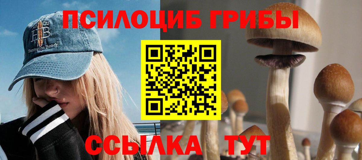 Галлюциногенные грибы Magic Shrooms Мыски